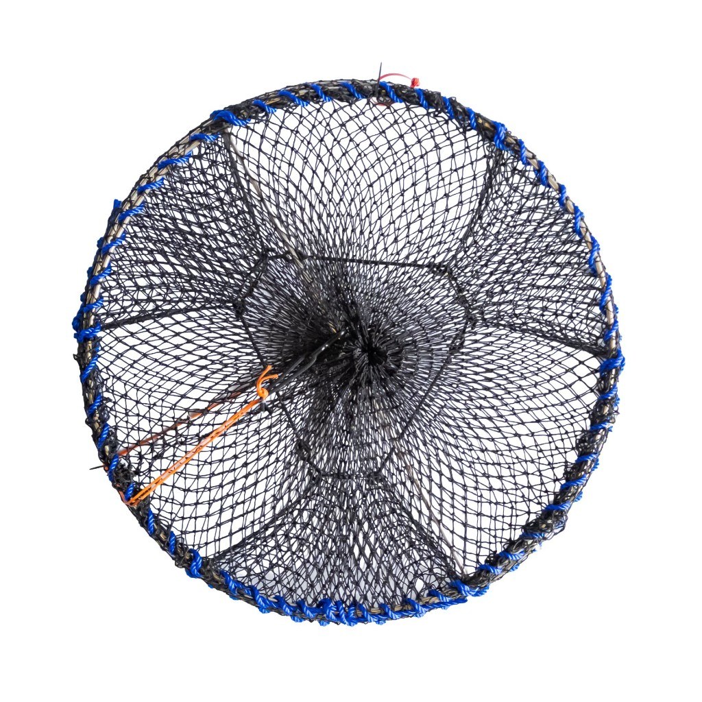 Overtop view of a 30 inch sport prawn trap